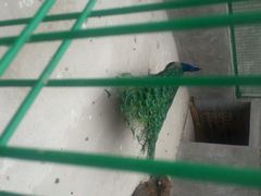 android_upload_pic-白马仙洞