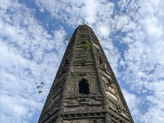 -上海佘山国家森林公园天马山园