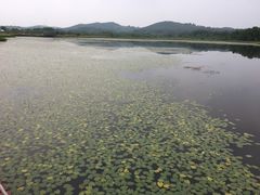 -塞罕坝国家级自然保护区