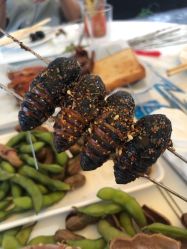 -鑫淼餐饮娱乐中心(江东街店)