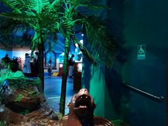 -太平洋海底世界