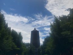 -玲珑塔公园