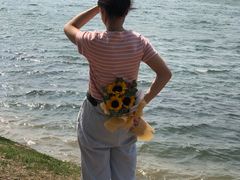 -丁香湖公园