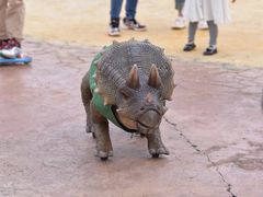 -世界恐龙谷景区