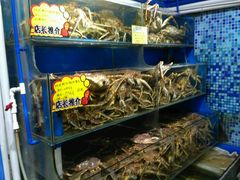-蚝专家(北滘店)