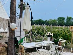 -安德鲁户外烧烤帐篷营地(马泉营店)