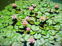 景点-芜湖方特东方神画