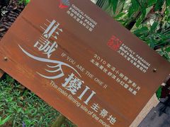 -亚龙湾热带天堂森林公园