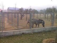 -石家庄市动物园