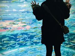 -瑞普利水族馆