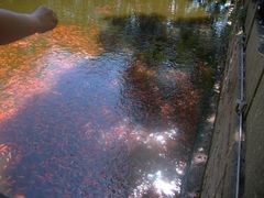 -普陀山风景名胜区-法雨禅寺