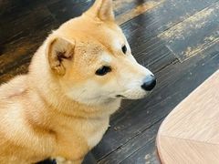 -三目仓咖啡(贤南路店)