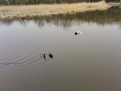 -前关湿地公园