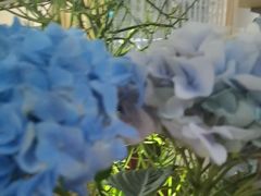 -一坐一忘云南菜(卓悦中心)