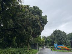 -张坝桂圆林公园