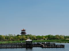 -南大港湿地风景区