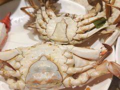 -初色海鲜自助(万丰路店)