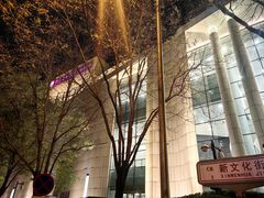 -中央音乐学院歌剧音乐厅