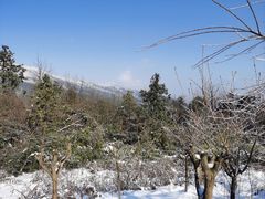 -瓦屋山景区