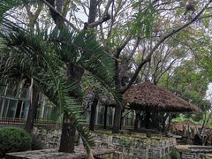 -金稼园·金平湖农家菜