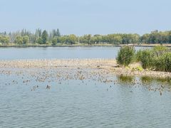 -野鸭湖国家湿地公园