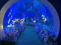 -顺德南宏海立方海洋公园