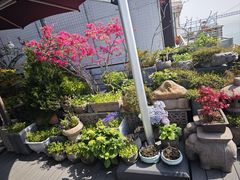-川旺角川粤融合菜•海景餐厅(星海广场店)