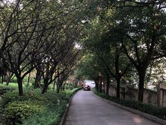 -重庆平顶山公园
