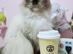 杨枝甘露椰奶-古茗(泉州浦西万达金街店)