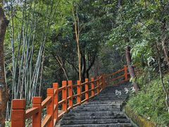 -广州白江湖森林公园