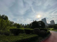 -龙头寺公园