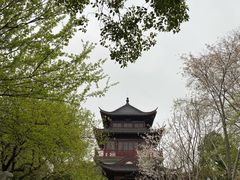 -堤角公园