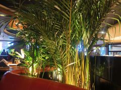 -拉蒂娜·巴西牛排馆 Latina·Brazilian Steakhouse(王府井喜悦店)