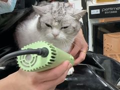 -宠物家(大兴旧宫店)