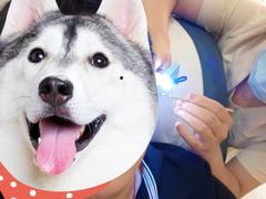 -良子健身(金融街店)