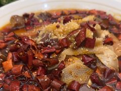 -便宜坊烤鸭店(科创店)