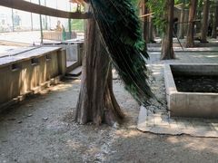 -南京金牛湖风景区