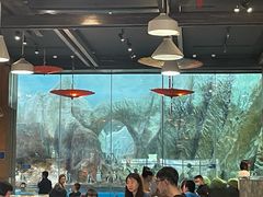 -帝企鹅自助餐厅•儿童岛•真企鹅(长隆企鹅酒店)