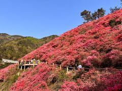 -木兰云雾山