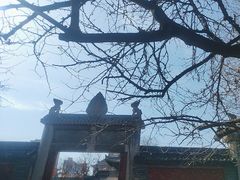 -西安碑林博物馆