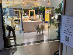 -肆兮眼镜·蔡司·徕卡战略合作店(大坪店)