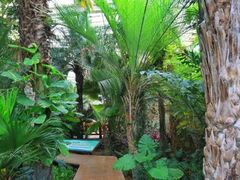-石家庄市植物园