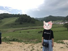 -关山草原
