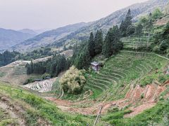 -龙脊梯田
