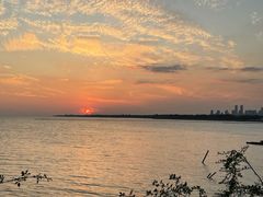 -贡湖湾湿地公园