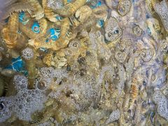 -大锅强·蒸海鲜青岛菜(吾悦广场店)