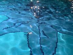 -巅峰减重高端减肥训练营(惠州店)