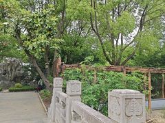 -南汇桃花村
