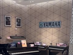 -知音艺术教育培训·钢琴培训·音乐培训(河西金鹰世界校区)