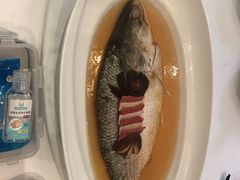 陈年花雕蒸鲥鱼-福1088